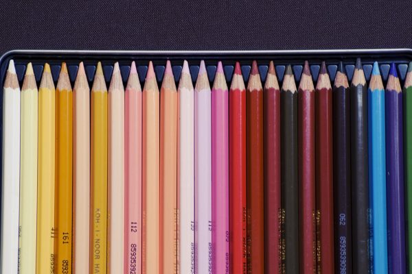 University Begins Strategy Planning for the Next Decade